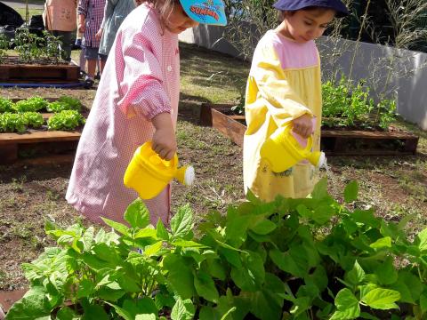 As crianças regam a horta.